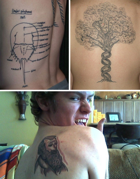 evolution tattoo. genetics and evolution