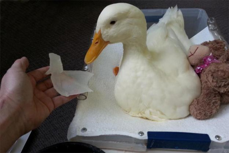 3d printed duck foot